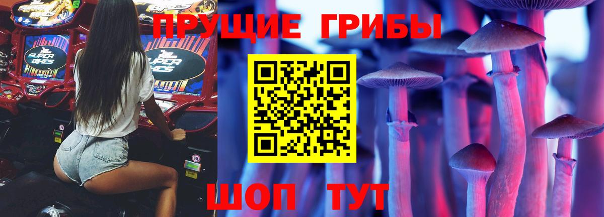 Псилоцибиновые грибы Psilocybe Россошь